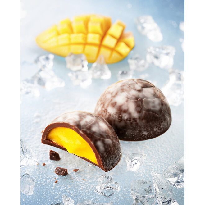 Frozettes 16 (IJs)Bonbons - Limited Edition