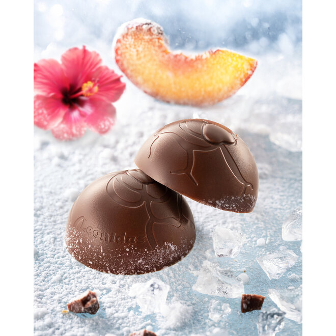 Frozettes 16 (IJs)Bonbons - Limited Edition