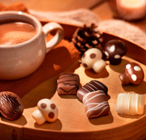 Herfst chocolade: de beste smaken voor het najaar