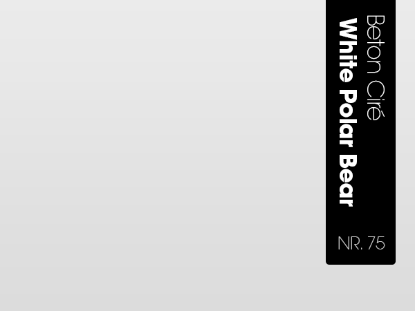 Beton Cire pakket - PRO-Serie: 75. White Polar Bear