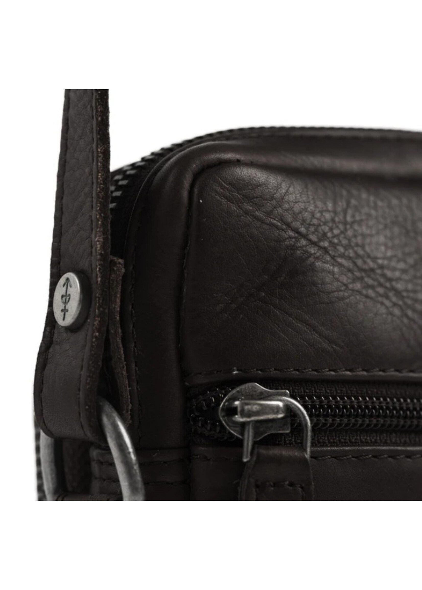 The Chesterfield Brand Hamilton Bruin