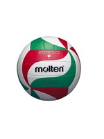 Molten Volleybal BM2501