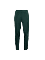 The Indian Maharadja Jaipur Men Performance Pant Green