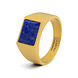 Gemini Credo Gold Blue