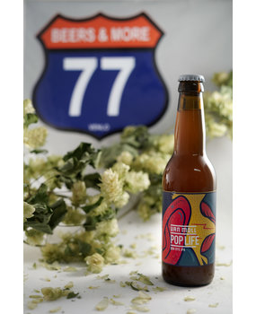 Van Moll Van Moll Pop Life IPA fles 33 cl  6,20% Van Moll Van Moll Pop Life IPA fles 33 cl  6,20%