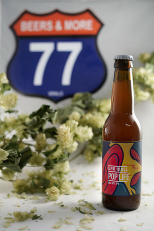 Van Moll Van Moll Pop Life IPA fles 33 cl  6,20%
