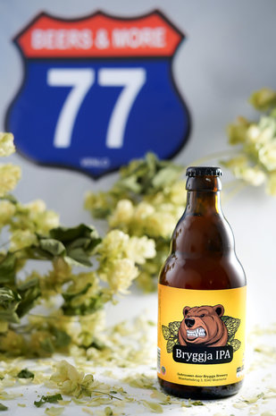 Bryggja Brewery Bryggja Brewery IPA IPA Fles 33 cl  6,50%