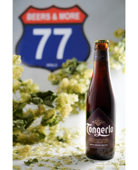 Haacht Haacht Tongerlo Dubbel Dubbel Fles 33 cl 6,50% Haacht Haacht Tongerlo Dubbel Dubbel Fles 33 cl 6,50%