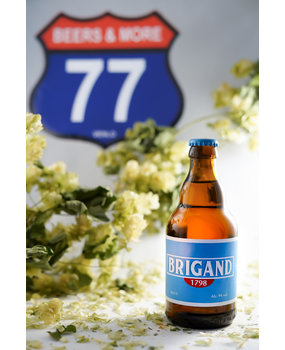 Van Honsebrouck Van Honsebrouck Brigand Blond Fles 33 cl  9,00% Van Honsebrouck Van Honsebrouck Brigand Blond Fles 33 cl  9,00%