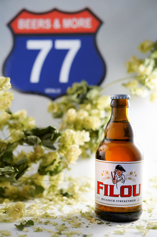 Van Honsebrouck Van Honsebrouck Filou Blond Fles 33 cl  8,50%