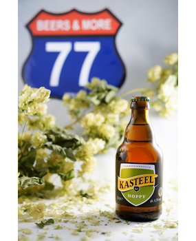 Van Honsebrouck Van Honsebrouck Kasteel Hoppy Blond Fles 33 cl  6,50%