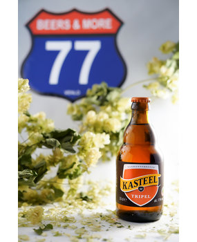 Van Honsebrouck Van Honsebrouck Kasteel Tripel Tripel Fles 33 cl  11,00%