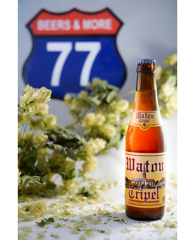 Watou Watou Tripel Tripel Abt 10 Fles 33 cl 10,0%