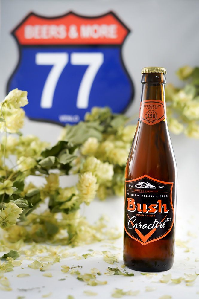 Dubuisson Dubuisson Bush Caractere Amber Fles 33 cl  12,00%