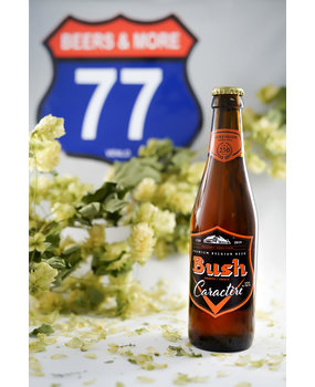 Dubuisson Dubuisson Bush Caractere Amber Fles 33 cl  12,00% Dubuisson Dubuisson Bush Caractere Amber Fles 33 cl  12,00%