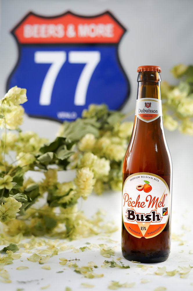 Dubuisson Dubuisson Bush Peche Mel Fruit Beer Fles 33 cl  8,50%