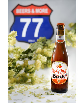 Dubuisson Dubuisson Bush Peche Mel Fruit Beer Fles 33 cl  8,50%