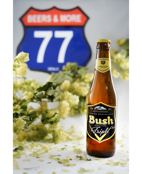 Dubuisson Dubuisson Bush Triple Fles 33 cl  9,50%