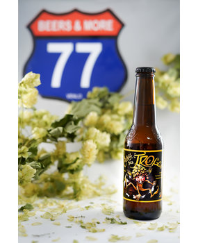 Dubuisson Dubuisson Cuvee des Trolls Blond Fles 33 cl  7,00%