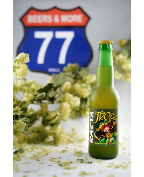 Dubuisson Dubuisson Rasta Trolls Blond Fles 33 cl  7,00%