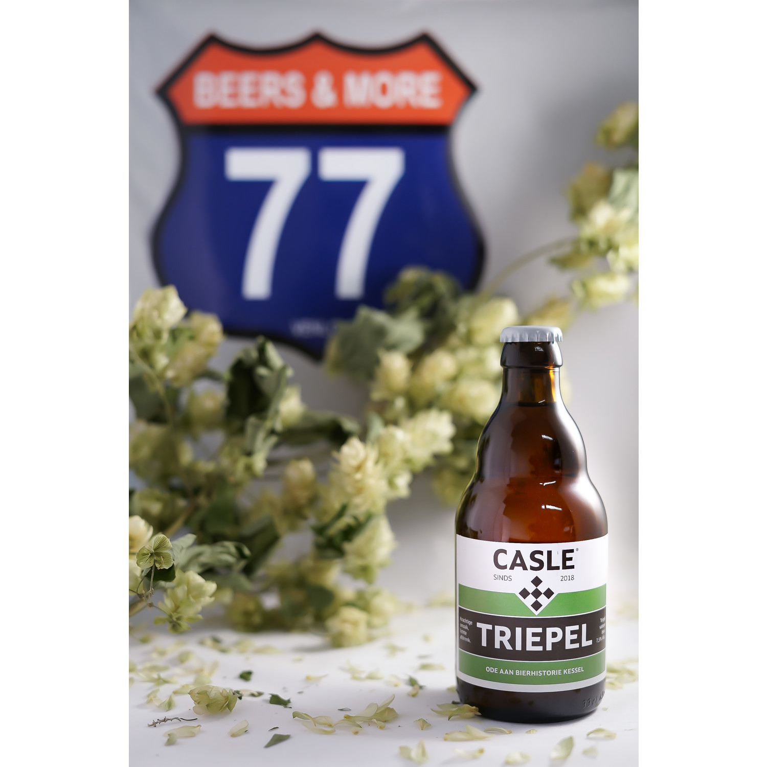 Dapper Afspraak Aanklager Casle Bier Triepel Tripel Fles 33 cl 7,50% - Beers&More77