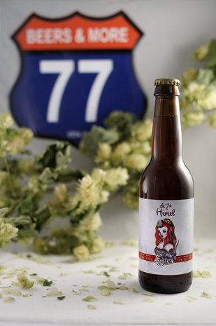 De Zevende Hemel De Zevende Hemel Diva Pale Ale Fles 33 cl  7,00%