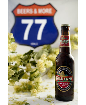 St. James Gate St. James Gate Kilkenny Pale Ale Fles 33 cl  4,30%