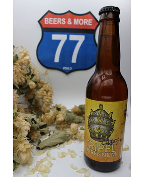 Chaos Bieren Chaos Bieren Tripel Triregnum Tripel Fles 33 cl  8,60%