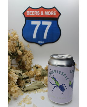 Brouwerij In De Nacht Brouwerij In De Nacht Fourmidable Nelson Sauvin IPA Blik 33 cl  6,50%