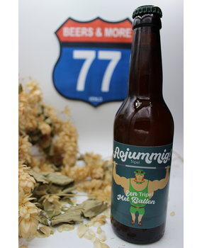 Puuro Puuro Aojummig! Tripel Fles 33cl 7,50% Puuro Puuro Aojummig! Tripel Fles 33cl 7,50%