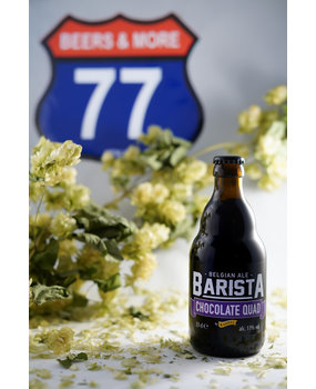 Van Honsebrouck Van Honsebrouck Kasteel Barista Quadrupel Fles 33 cl  11,00%