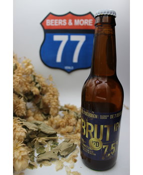 Brouwerij De 7 Deugden De 7 Deugden Brut IPA Fles 33 cl 7,00%