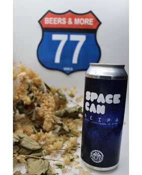 Pulfer Brewery Pulfer Brewery Space Can Neipa Blik 50 cl  6,50%