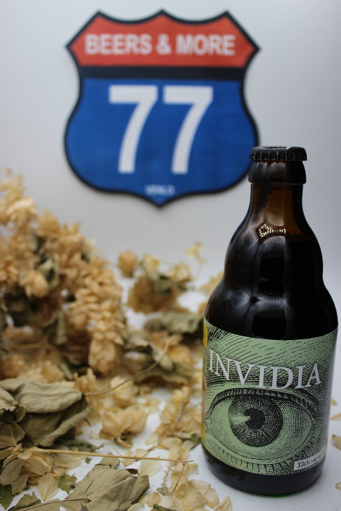 Zeven Zonden Zeven Zonden Invidia Bio Stout Fles 33 cl 10,00%