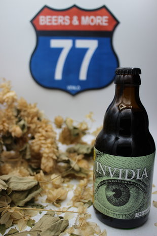 Zeven Zonden Zeven Zonden Invidia Bio Stout Fles 33 cl 10,00%