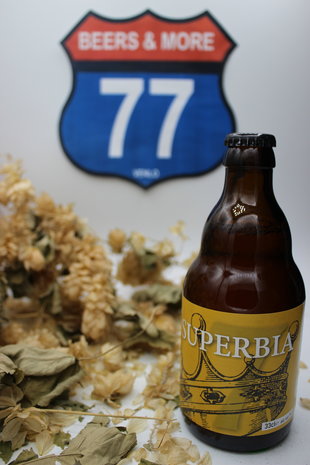 Zeven Zonden Zeven Zonden Superbia Bio Ale Fles 33 cl 7,00%