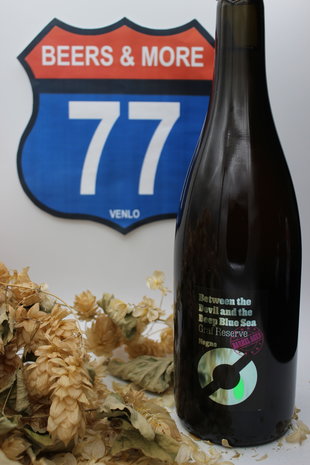 Nogne Nøgne Ø Between the Devil and the Deep Blue Sea Sour Ale Fles 75 cl  7,50%