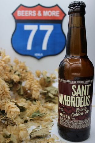 Birrificio Lambrate Birrificio Lambrate Sant'Ambroeus Blond Fles 33 cl  7,00%
