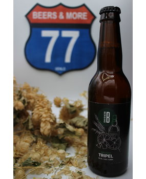 Berging Brouwerij Berging Brouwerij TR22 Triple Sec Infused Tripel Fles 33 cl 9,99% Berging Brouwerij Berging Brouwerij TR22 Triple Sec Infused Tripel Fles 33 cl 9,99%