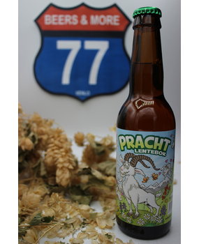 Brouwerij d'n Drul Brouwerij d'n Drul Pracht Lentebok Fles 33 cl 5.6% Brouwerij d'n Drul Brouwerij d'n Drul Pracht Lentebok Fles 33 cl 5.6%