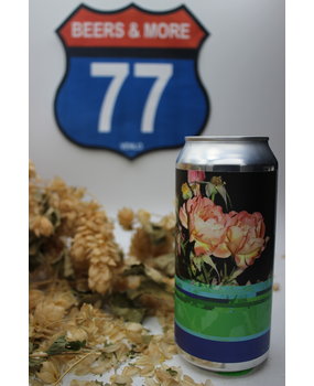 To Øl To Øl Dangerously close to stupid IPA Blik 44 cl 9,30%