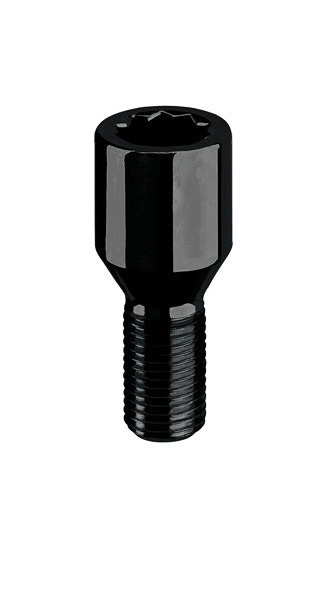 Wielbouten 12 x 1,50 x 28 D20MM STAR Zwart (Tuning) B353B