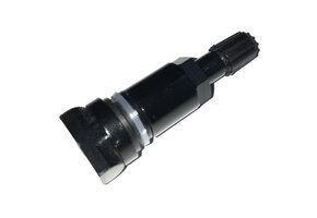 Schrader Ventiel Los Gen Gamma Zwart