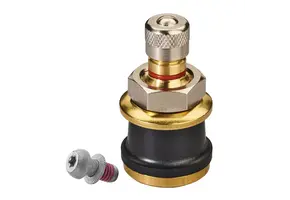 Truckventiel TPMS M6 L=32 Ø19 1491 32MS