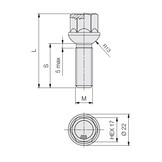 Wielbouten 14 x 1,25 x 30 KOP17 Bol (R13) B1225