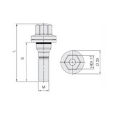 Wielbouten Vlak 12 x 1,25 x 50 KOP17 Geomet B1078