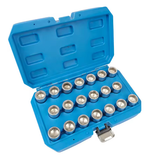 Proline Porsche Velgenslot Demontageset (20-delig)