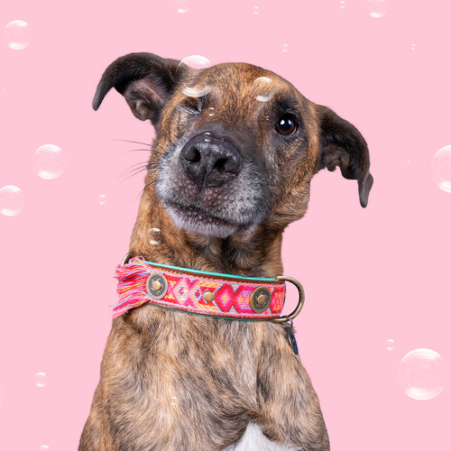 Collier pour chien Boho Rosa en cuir rose - Dog with a Mission