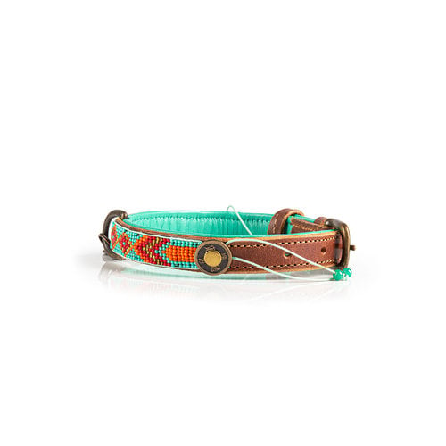 Turquoise Paddy Lee Dog Collar with Beads - Dog with a Mission