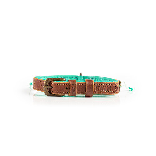 Turquoise Paddy Lee Dog Collar with Beads - Dog with a Mission